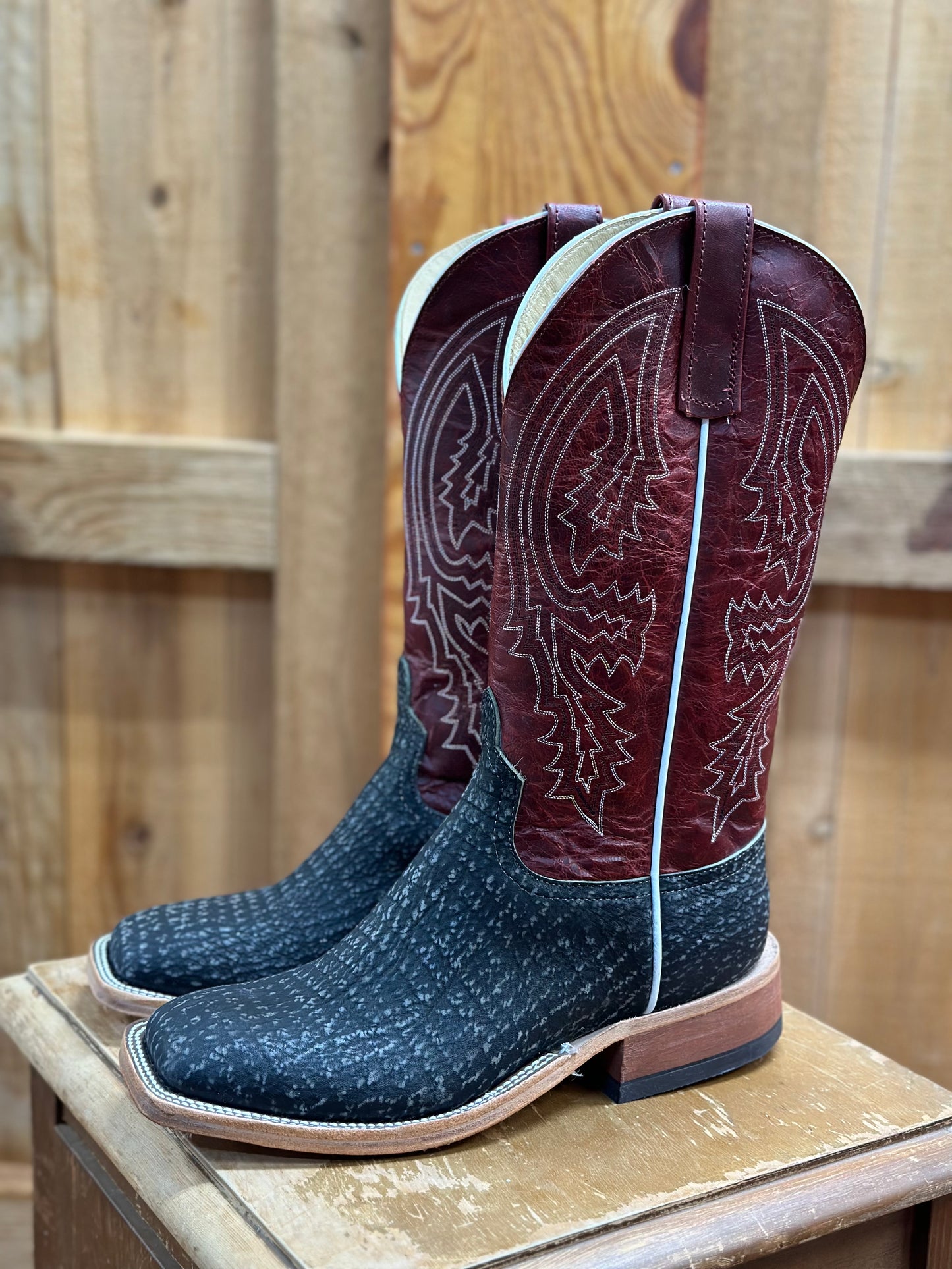 339131 BLACK SAFARI SHARK