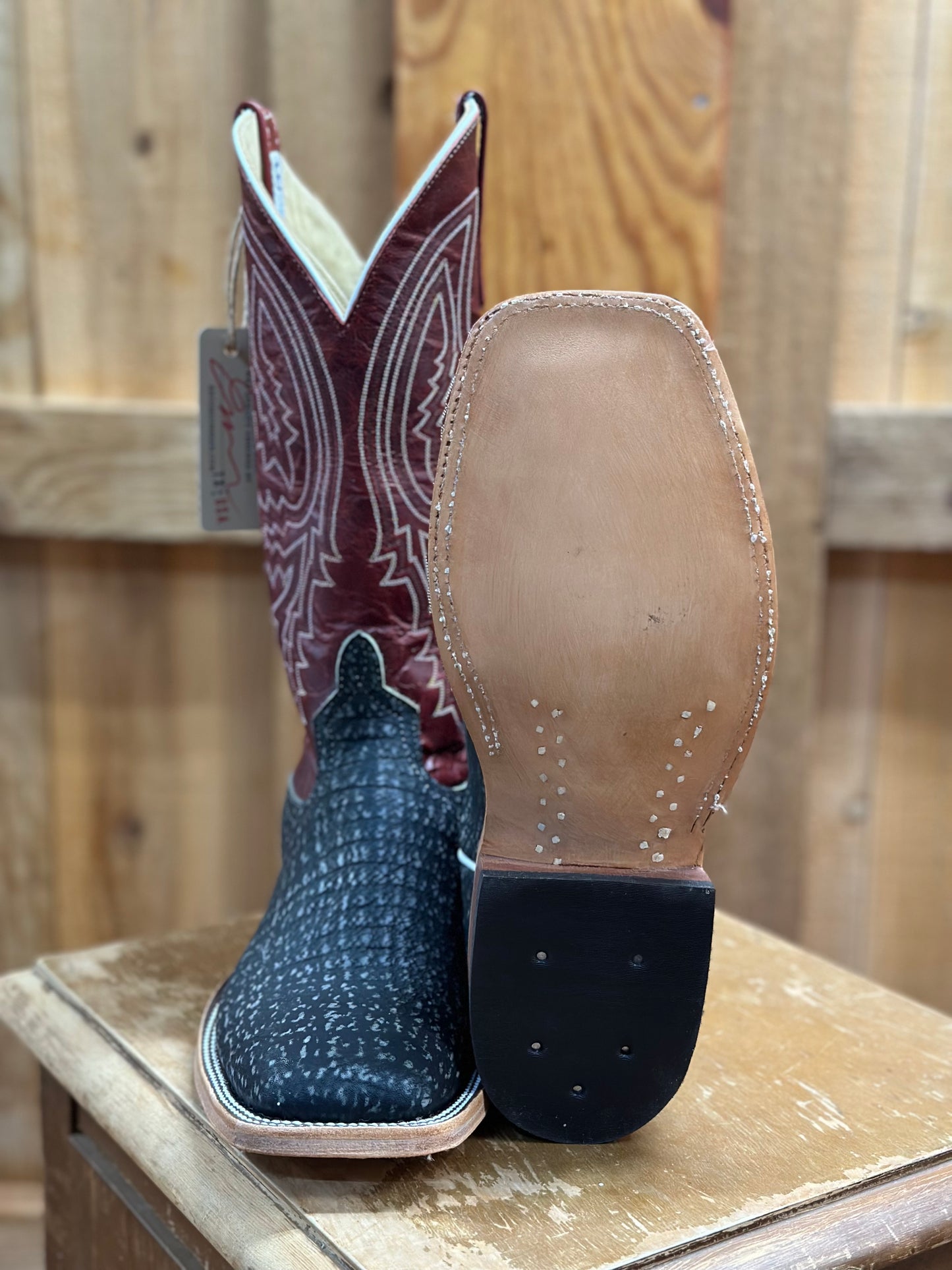 339131 BLACK SAFARI SHARK