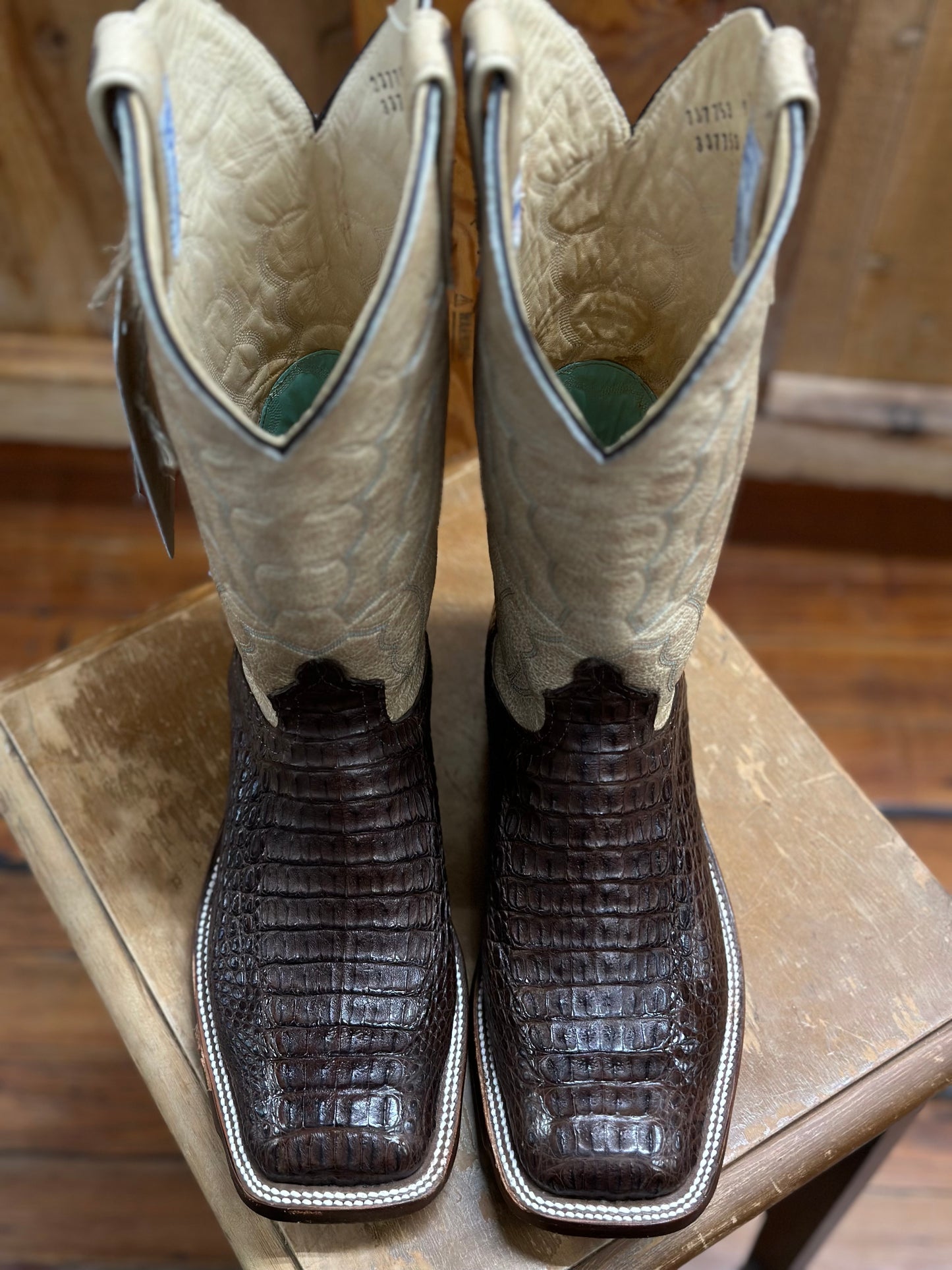 337753 LUX CHOC CAIMAN