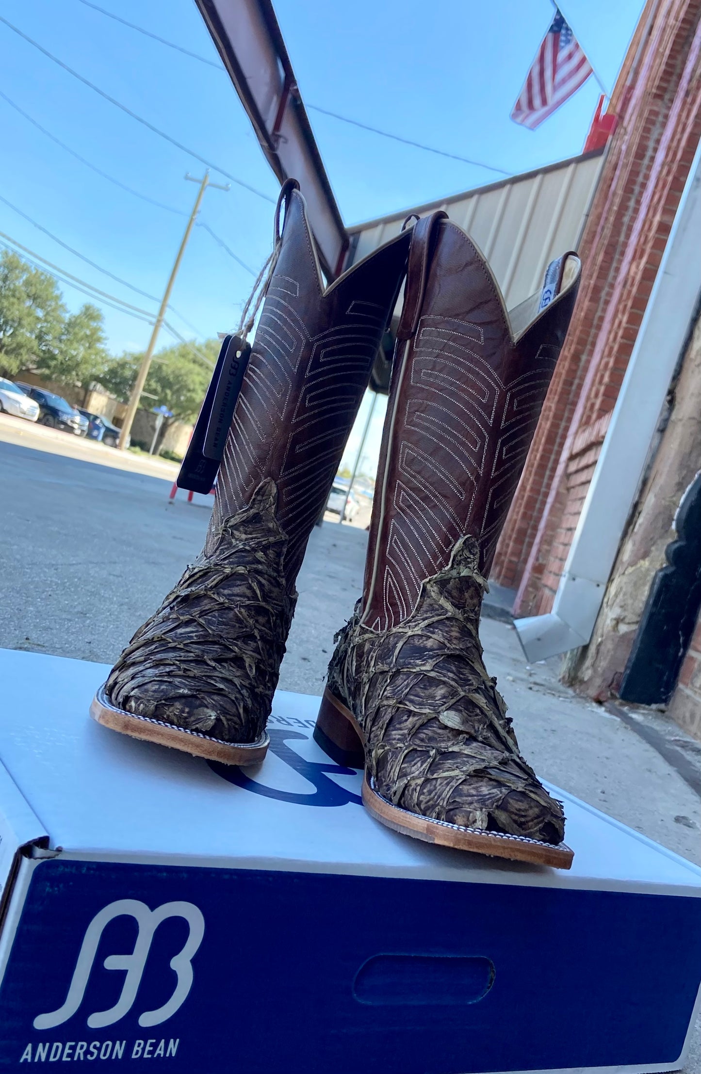 Saddle Brown Big Bass