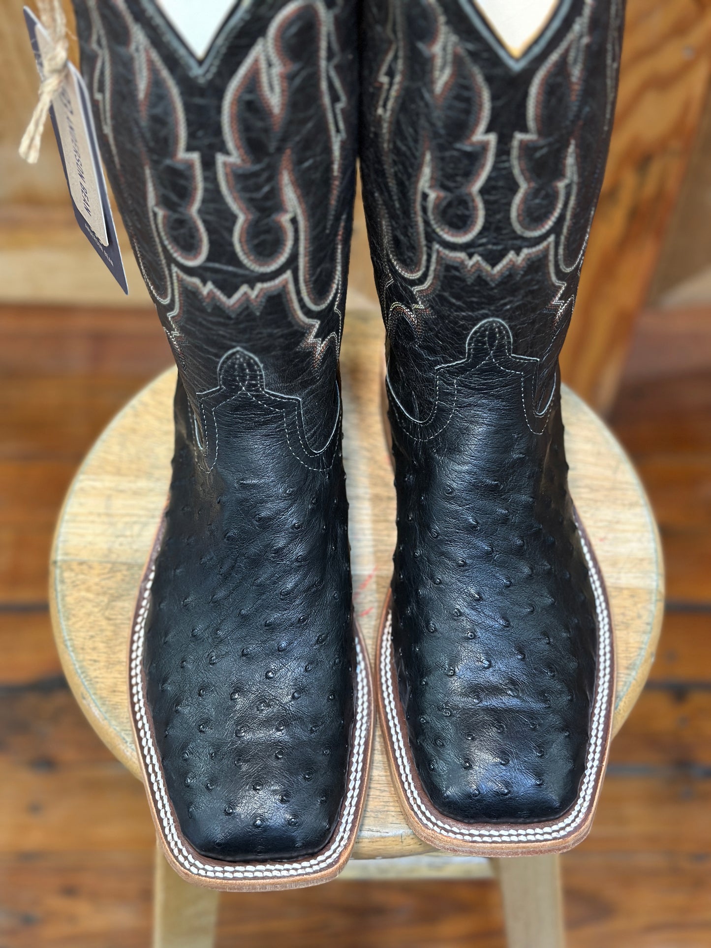 361367 OSTRICH BLACK EXPLOSION