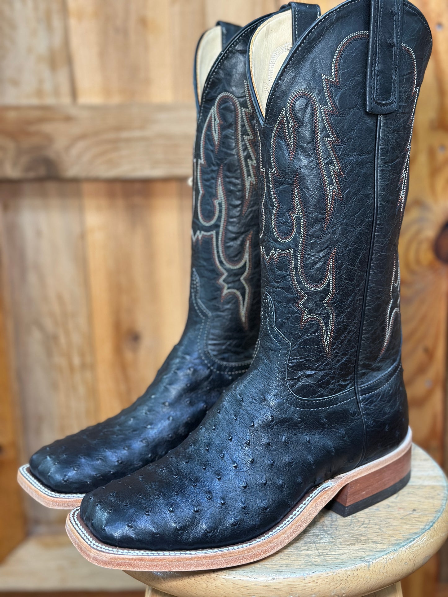 361367 OSTRICH BLACK EXPLOSION