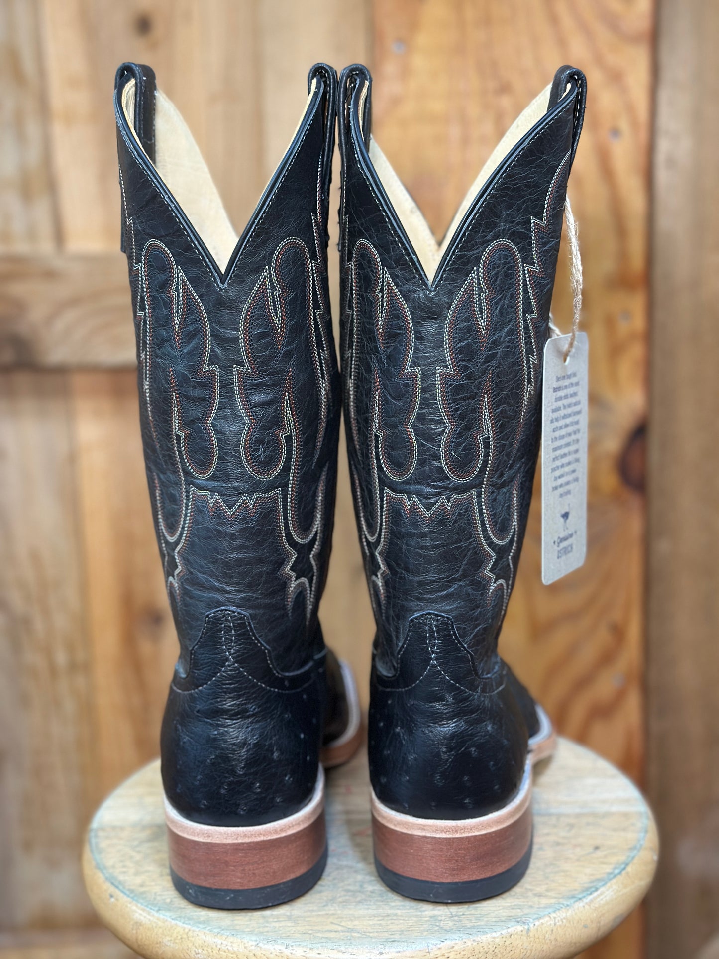 361367 OSTRICH BLACK EXPLOSION