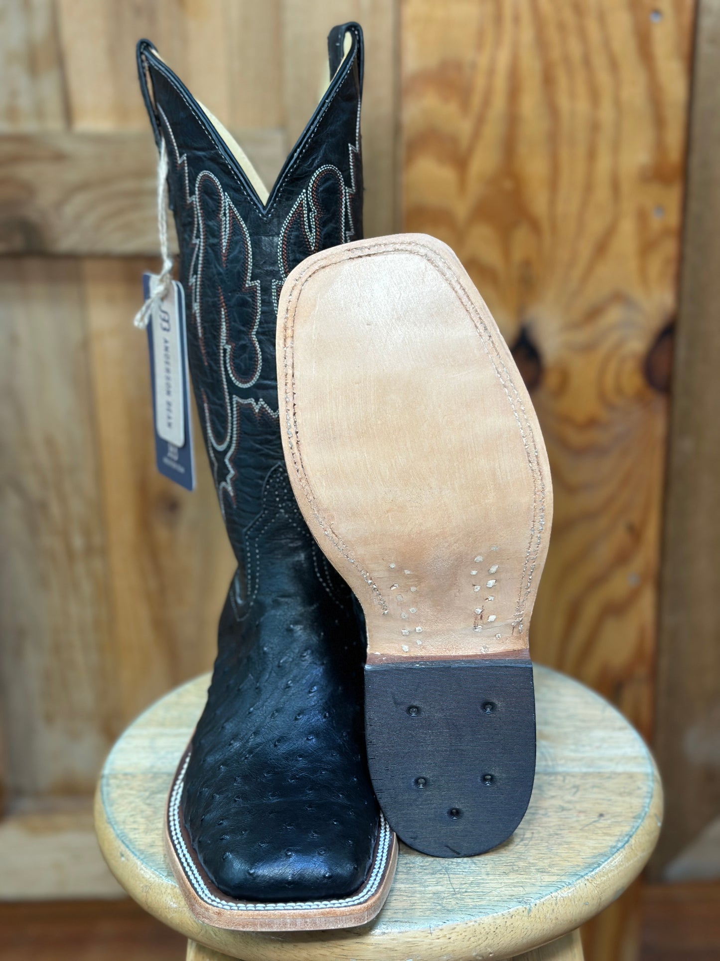 361367 OSTRICH BLACK EXPLOSION